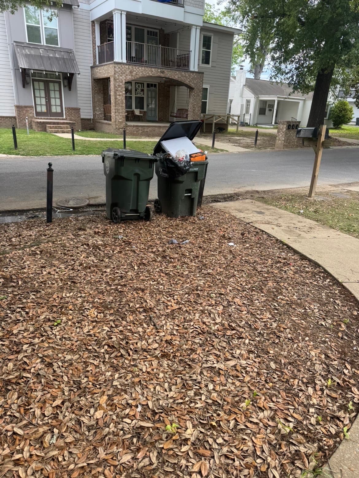 Cleared, clean space after junk removal in Tuscaloosa