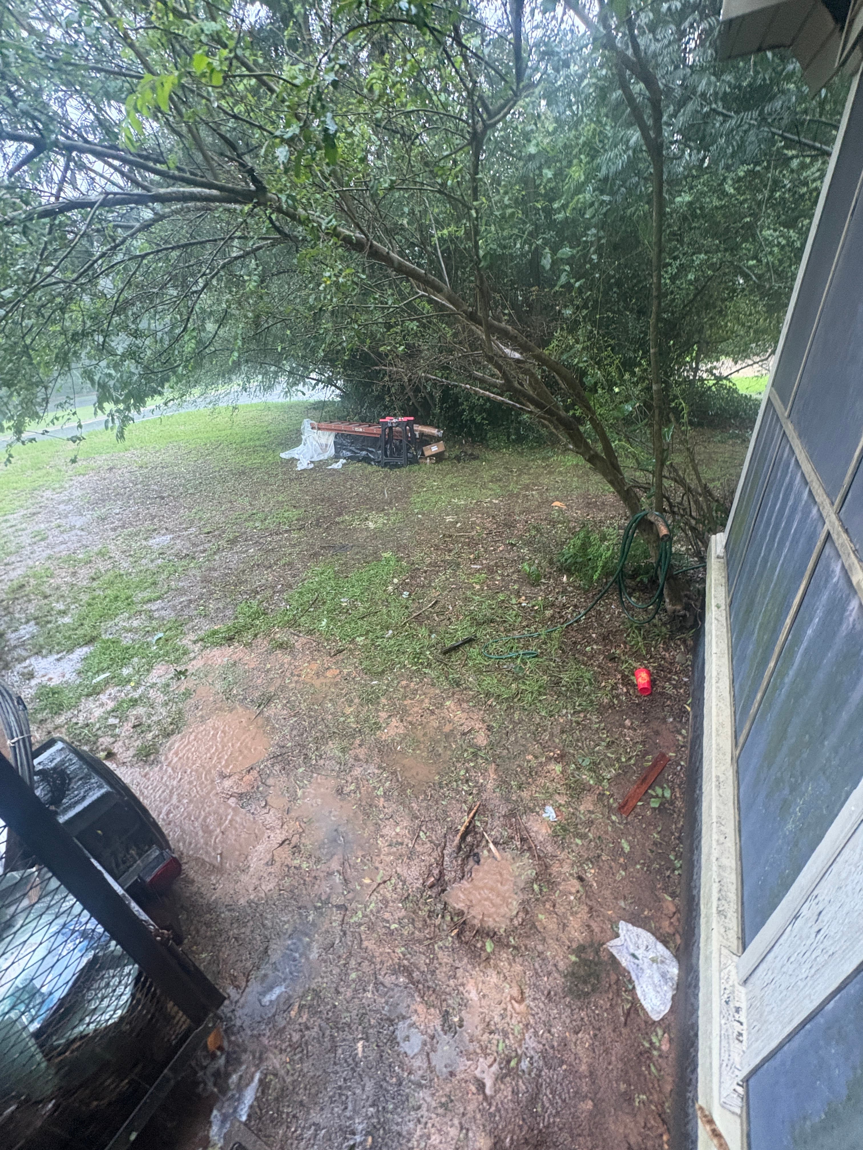 Clean, cleared yard after Haul Tide hauled the debris away
